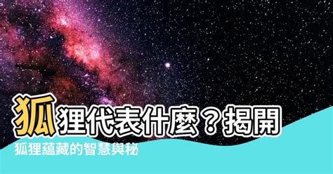 看到狐狸 代表|狐狸象徵什麼？